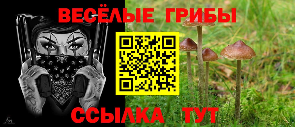 Галлюциногенные грибы мицелий Наро-Фоминск