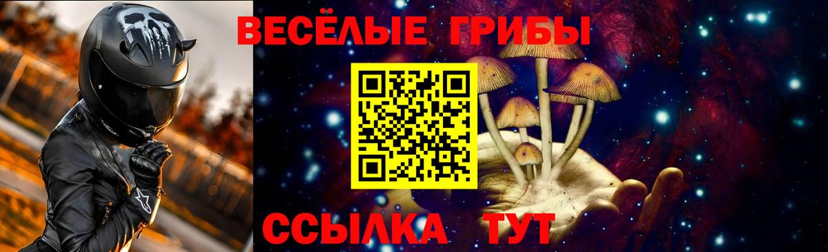 Наро-Фоминск  Псилоцибиновые грибы Psilocybe  Вход с VPN  Галлюциногенные грибы Magic Shrooms 
